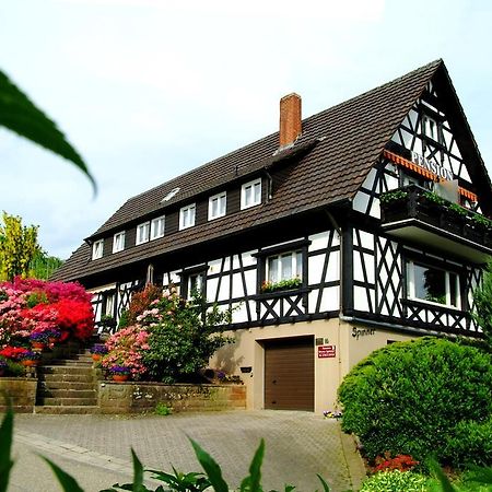 Pension Am Weinberg Sasbachwalden Kültér fotó