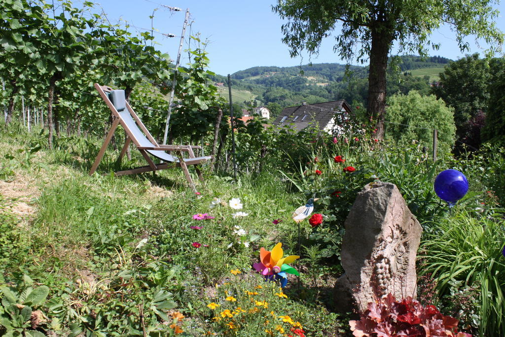Pension Am Weinberg Sasbachwalden Kültér fotó